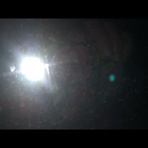 Meet your Posher, Amie